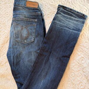 BIG STAR MADDIE STRAIGHT 28L